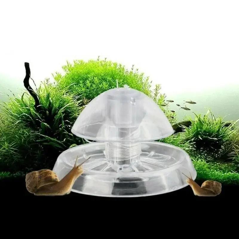 Planted Aquarium Supplies - Nouvelle boîte piège à escargots en