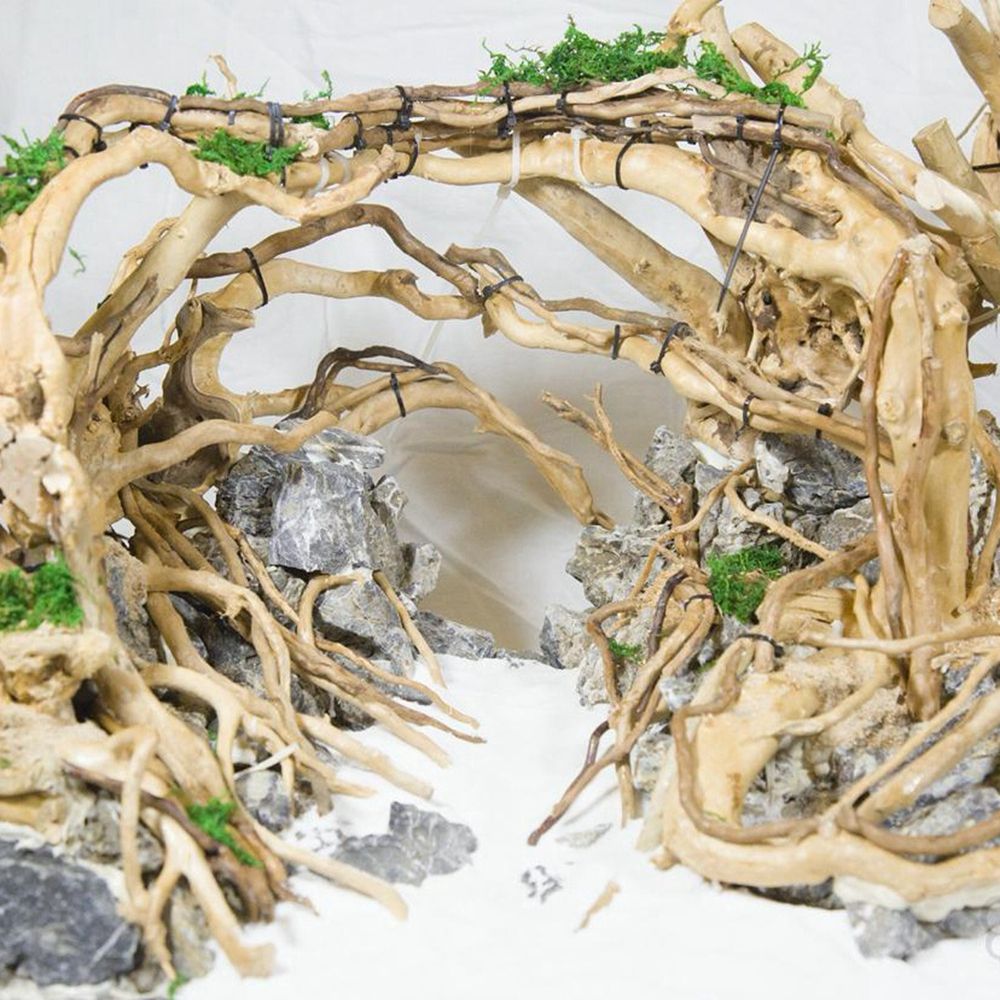 Aquarium Plant Roots - Décor de fond pour terrarium de
