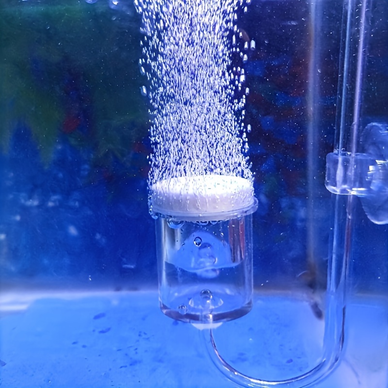 Planted Aquarium Supplies - Diffuseur d'atomiseur de CO2 en verre