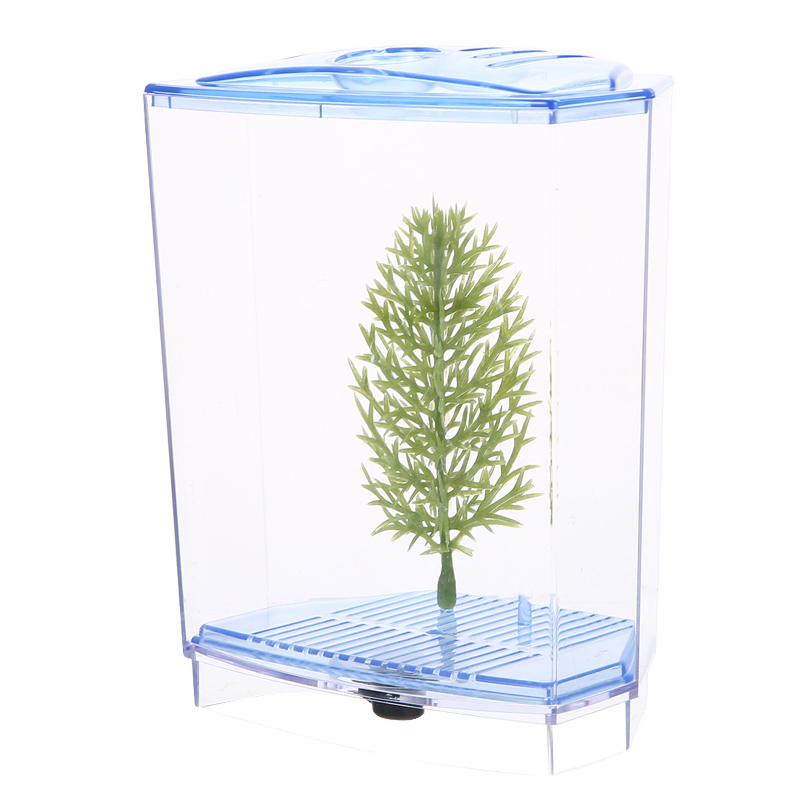 Planted Aquarium Mini - Mini aquarium en plastique transparent pour