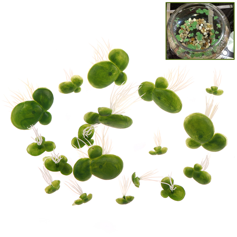 Aquarium Plant Roots - 【F】18 pièces/ensemble Décoration d'aquarium, plante aquatique