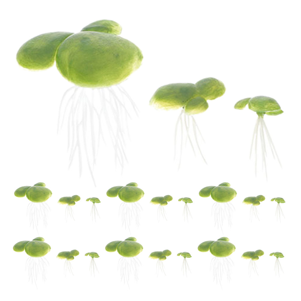 Planted Aquarium Mini - 18 pièces de plantes aquatiques artificielles