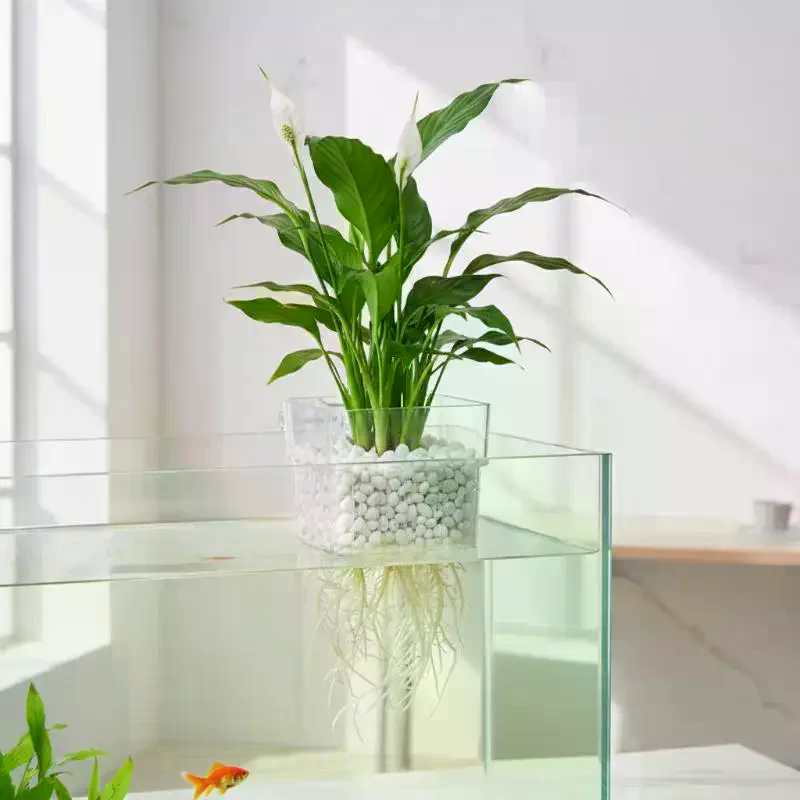 Support pour plantes aquatique - Aquarium Plant Roots avis et prix