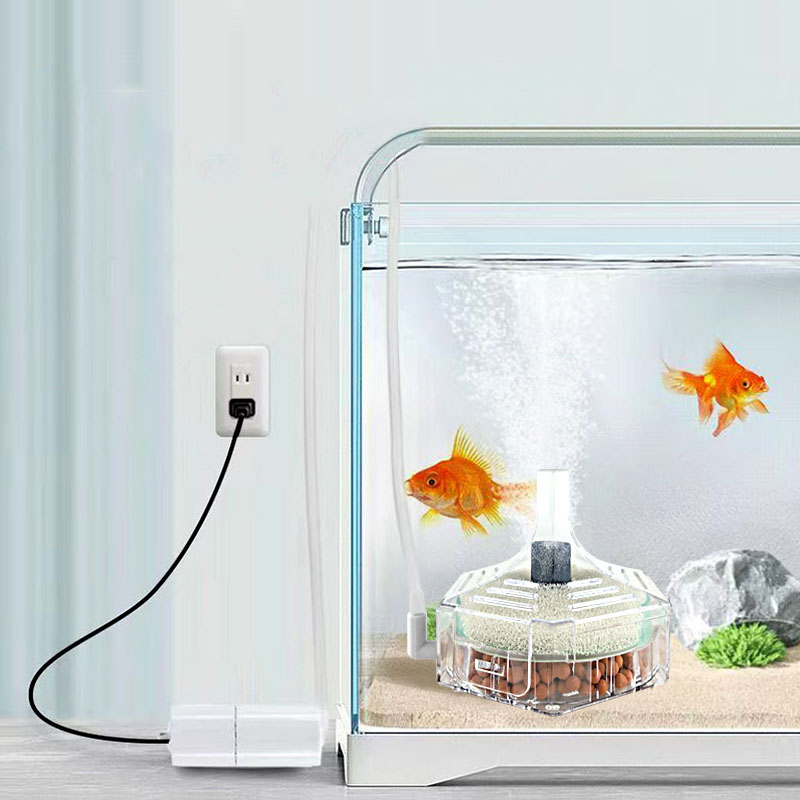 Filtre d'aquarium Super fin, é - Aquarium Planted Filter avis et prix