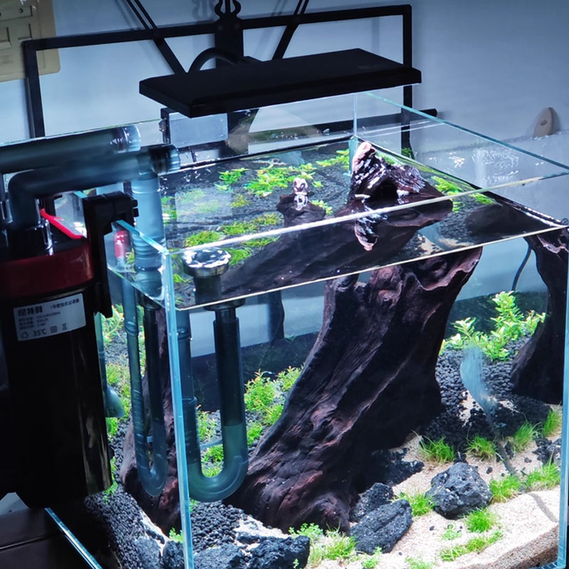 Lampe LED à spectre complet po - Planted Aquarium Cycling avis et prix