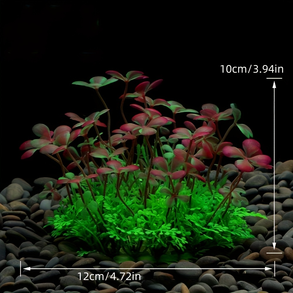 Décoration d'aquarium, plantes - Planted Aquarium Supplies avis et prix