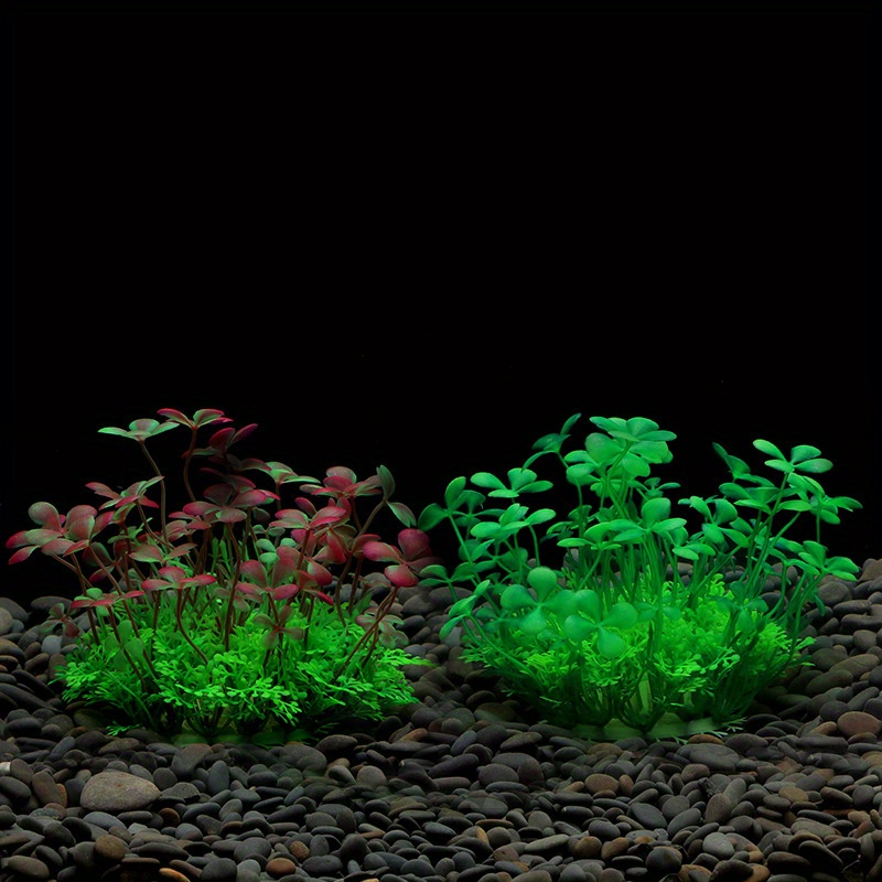 Décoration d'aquarium, plantes - Planted Aquarium Supplies avis et prix