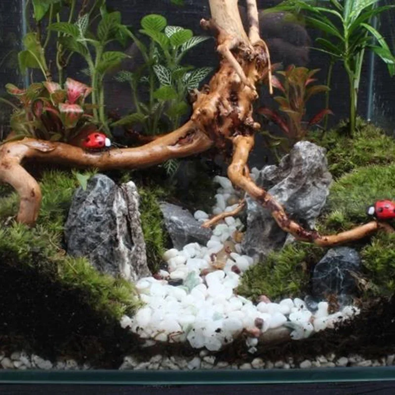 Tronc d'Arbre Naturel en Bois  - Aquarium Plant Roots avis et prix