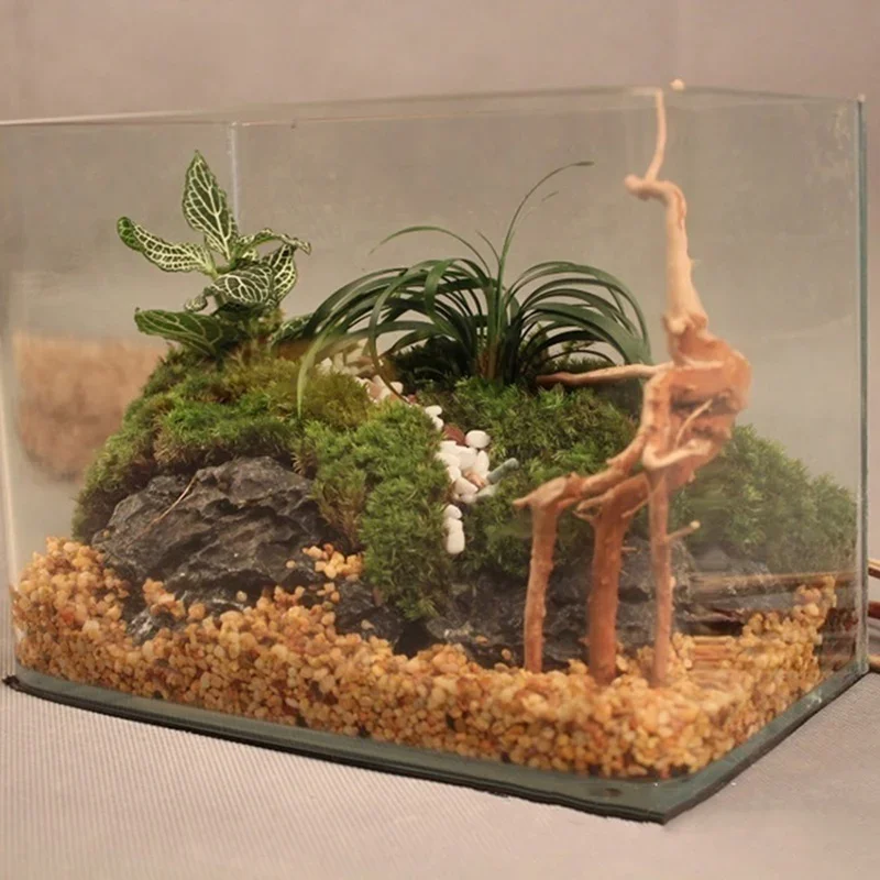 Tronc d'Arbre Naturel en Bois  - Aquarium Plant Roots avis et prix