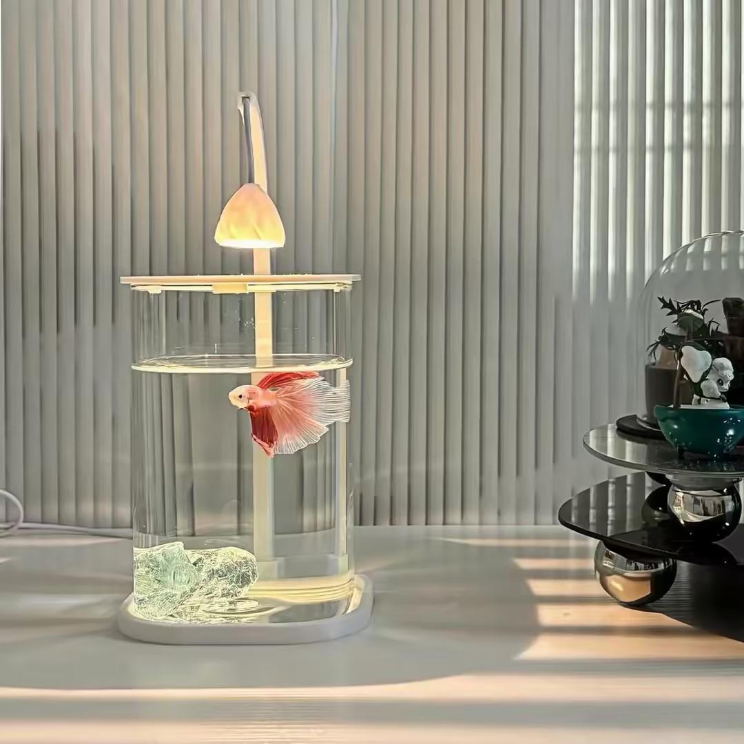 360 °   Aquarium de bureau pan - Planted Aquarium Mini avis et prix