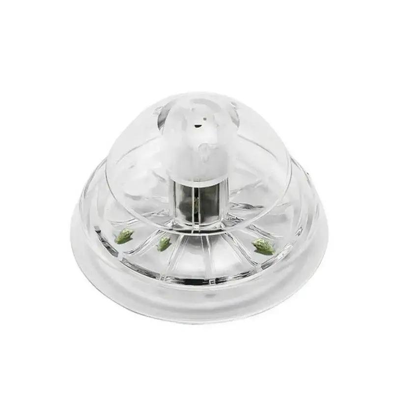 Nouvelle boîte piège à escargo - Planted Aquarium Supplies avis et prix