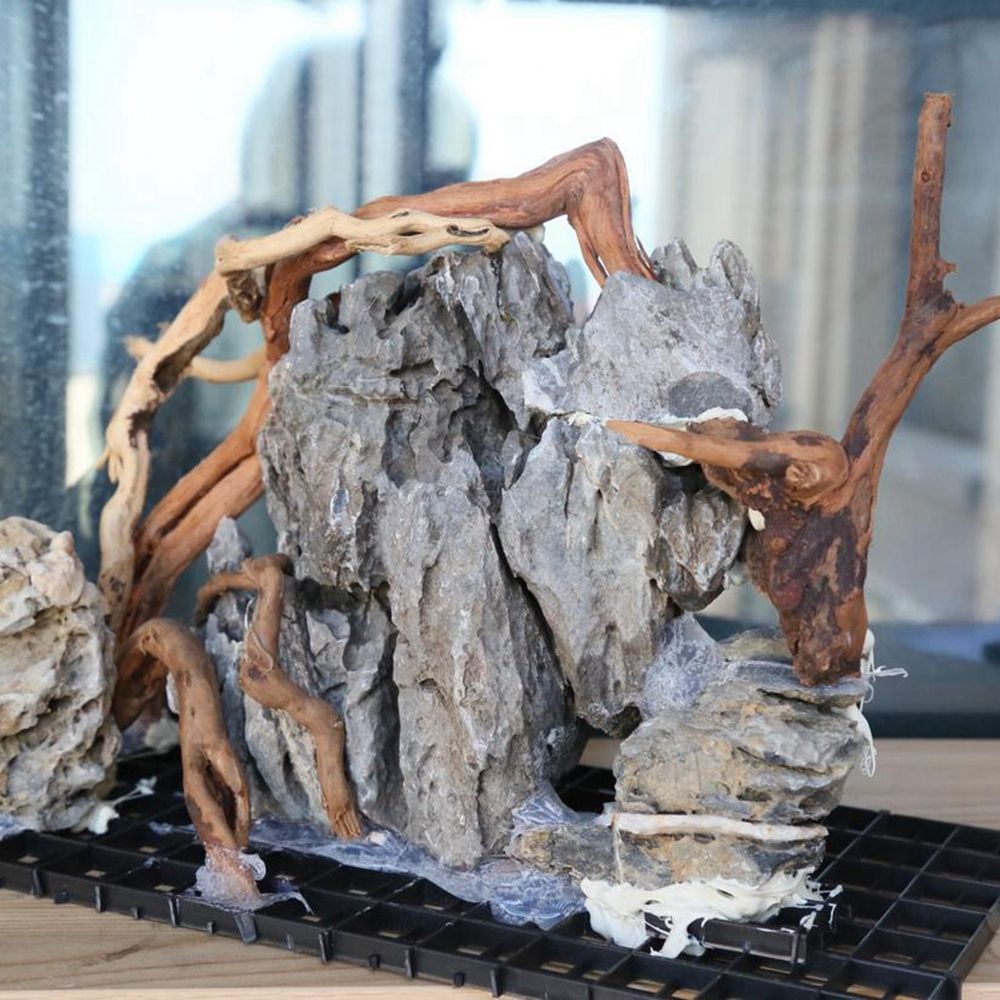 Décor de fond pour terrarium d - Aquarium Plant Roots avis et prix
