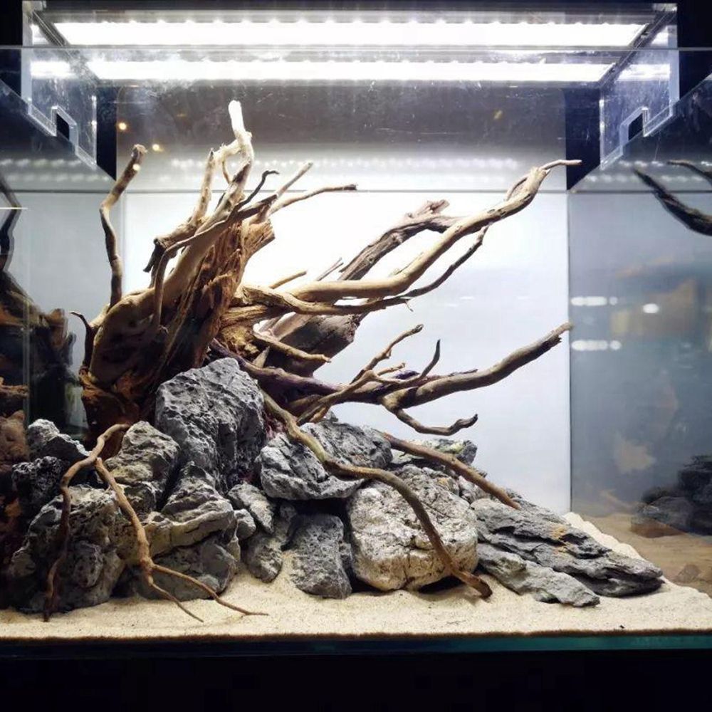 Décor de fond pour terrarium d - Aquarium Plant Roots avis et prix