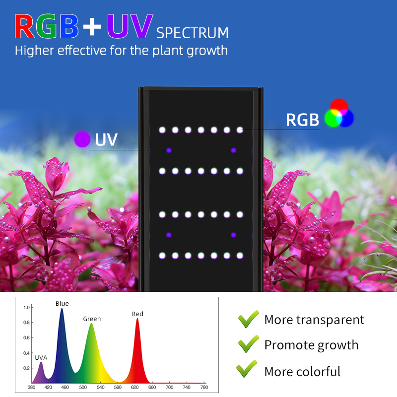 Éclairage LED pour aquarium WE - Planted Aquarium Cycling avis et prix