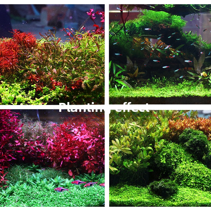 SYSENCIAGA – substrat d'aquari - Planted Aquarium Fertilizer avis et prix