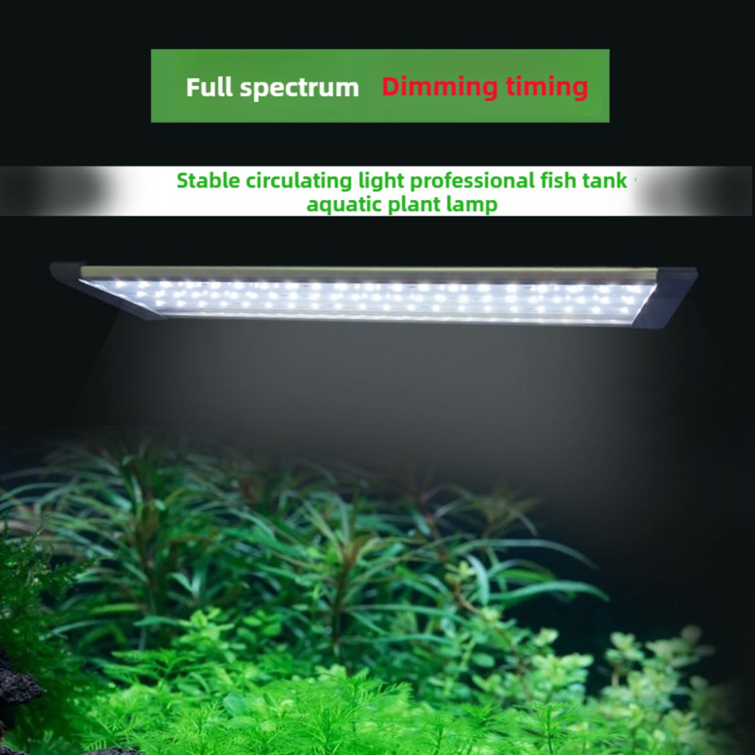 24/7 Cycle LED lumière d'aquar - Planted Aquarium Cycling avis et prix