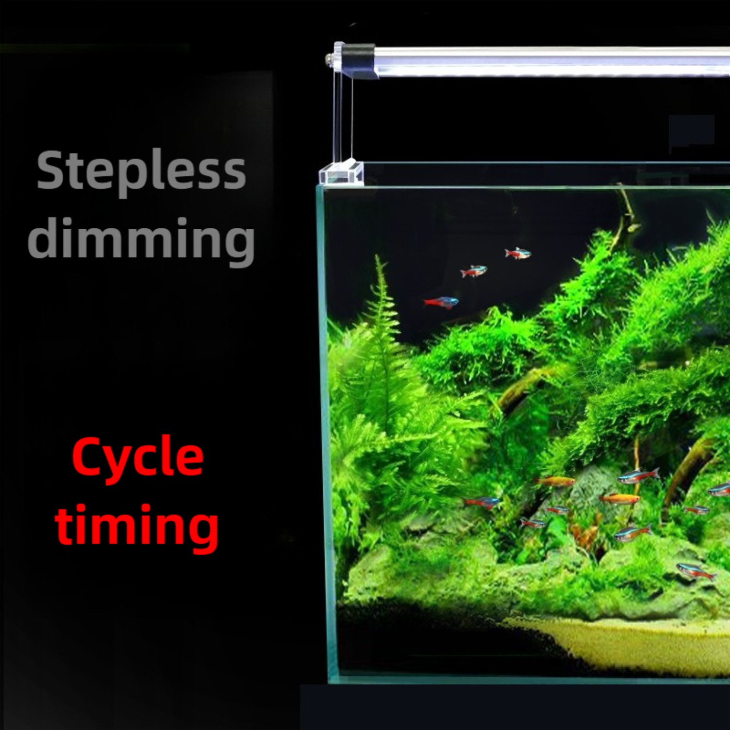 24/7 Cycle LED lumière d'aquar - Planted Aquarium Cycling avis et prix