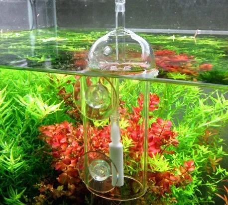 VIV Do-Dispositif d'Intervalle - Planted Aquarium Supplies avis et prix