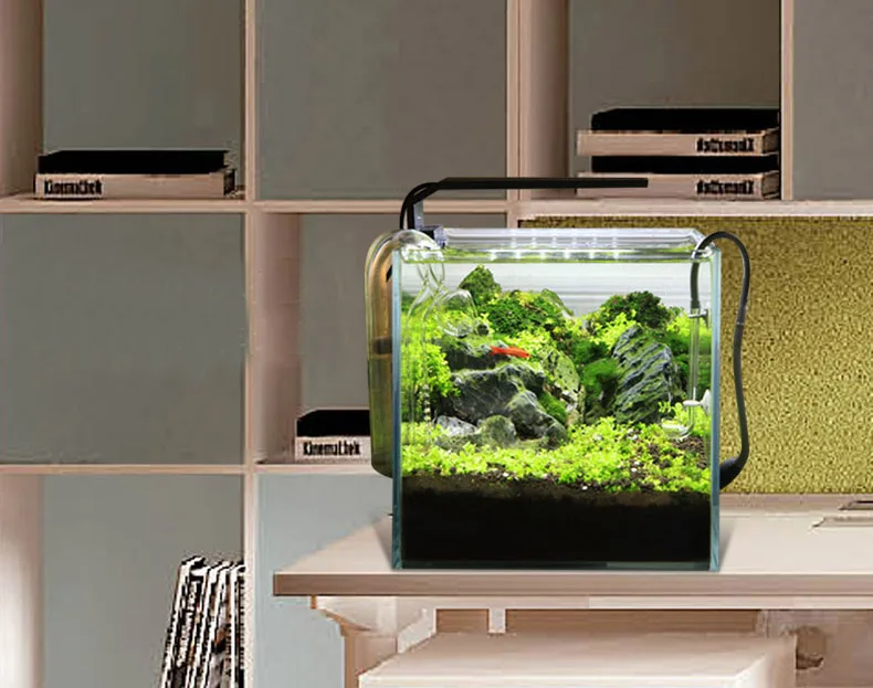 Chihiros série C ADA Style pla - Planted Aquarium Mini avis et prix
