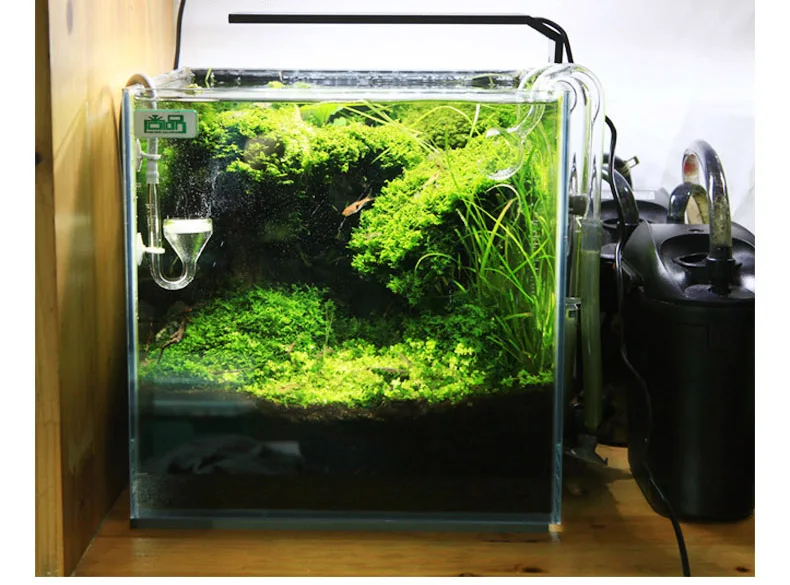 Chihiros série C ADA Style pla - Planted Aquarium Mini avis et prix