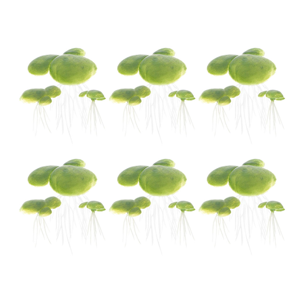 18 pièces de plantes aquatique - Planted Aquarium Mini avis et prix