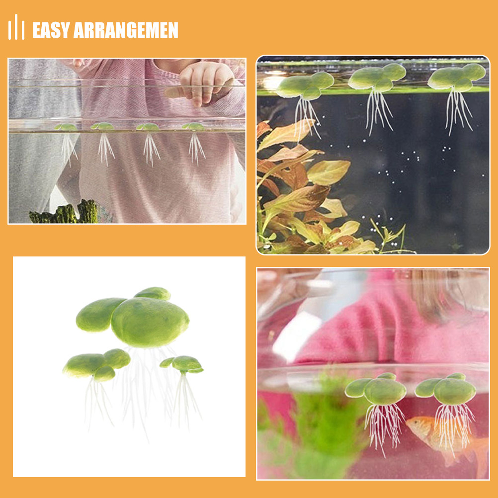 18 pièces de plantes aquatique - Planted Aquarium Mini avis et prix