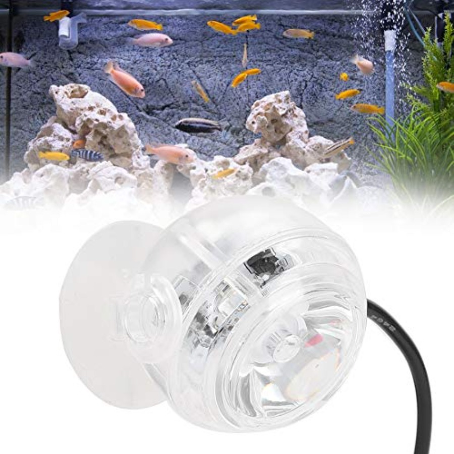 Lumière LED pour aquarium de 1 - Planted Aquarium Cycling avis et prix