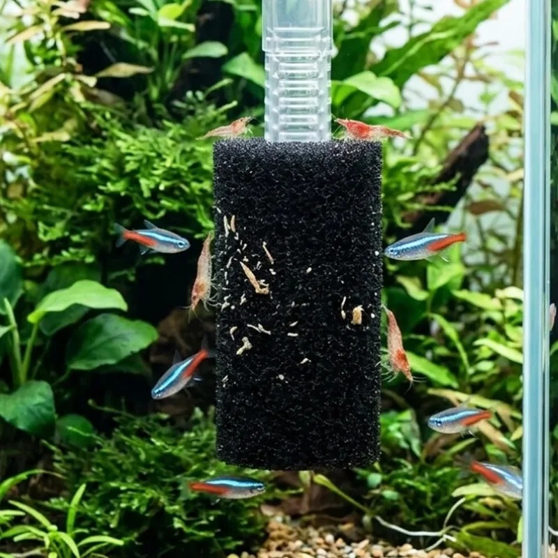50/5x Éponge pré-filtre pour a - Aquarium Planted Filter avis et prix