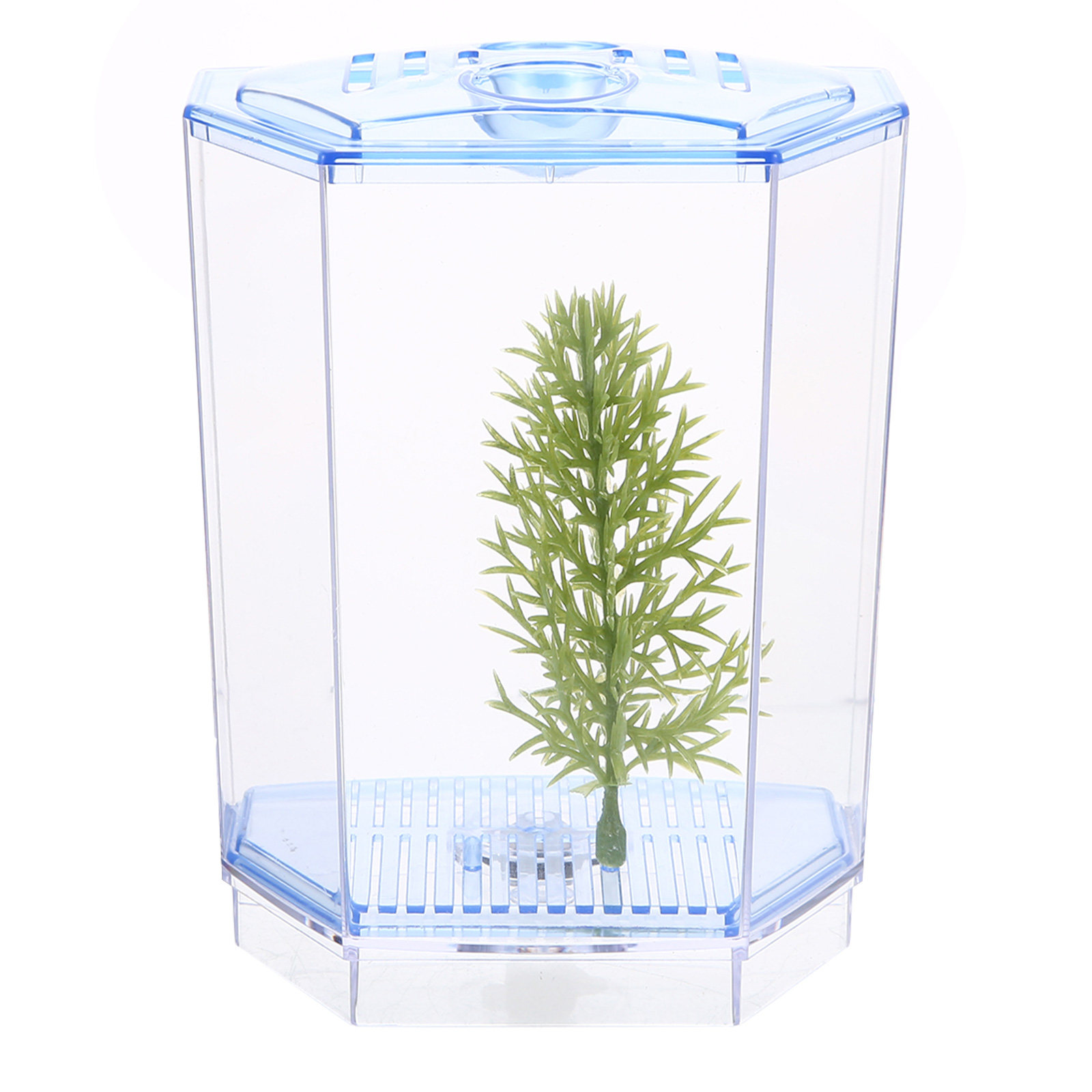 Mini aquarium en plastique tra - Planted Aquarium Mini avis et prix