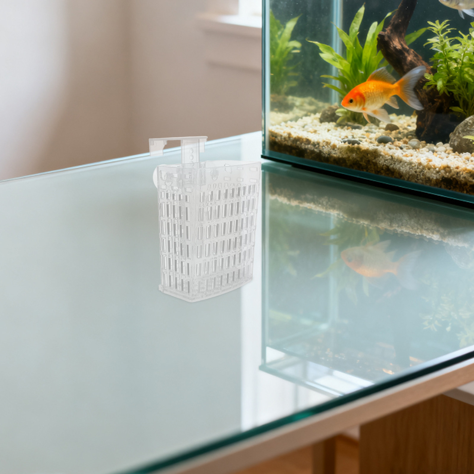 Support de plantes d'aquarium, - Planted Aquarium Supplies avis et prix