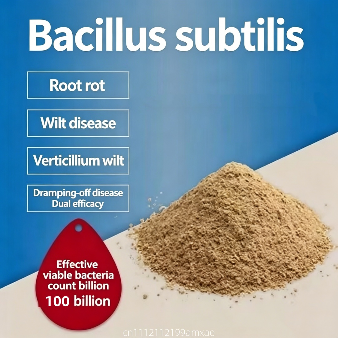 Poudre de Bacillus Subtilis à  - Aquarium Plant Roots avis et prix