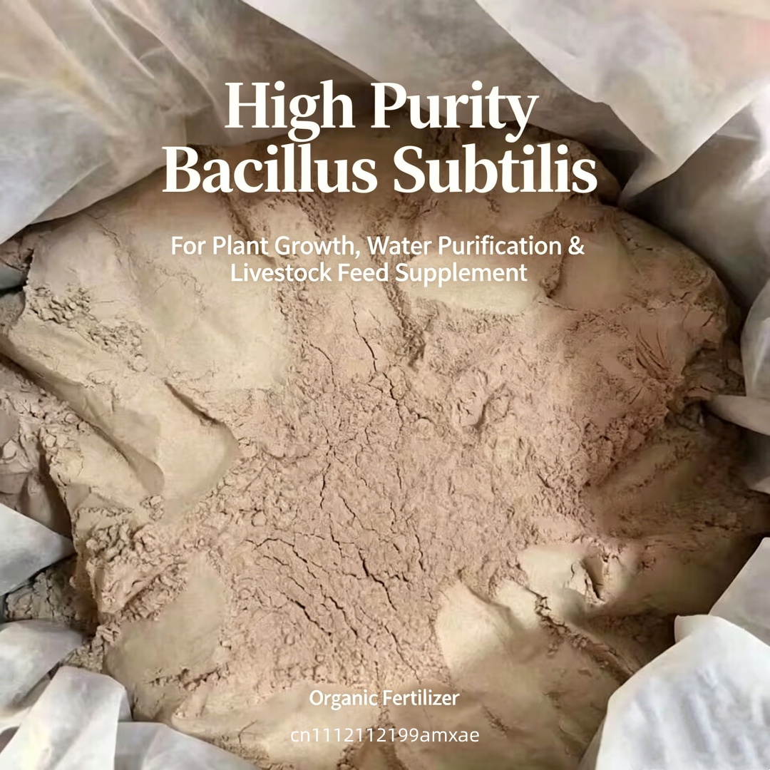 Poudre de Bacillus Subtilis à  - Aquarium Plant Roots avis et prix