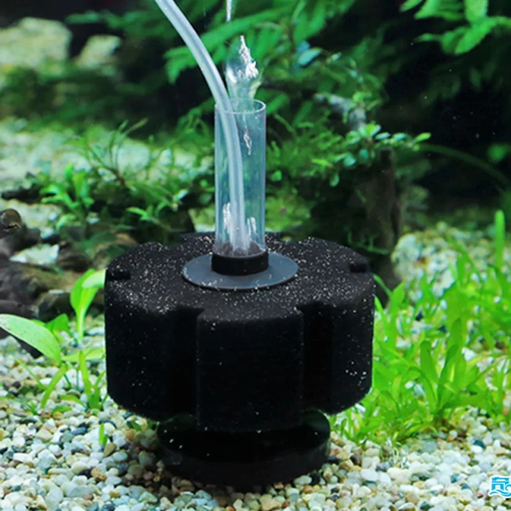 Éponge filtrante pour aquarium - Aquarium Planted Filter avis et prix