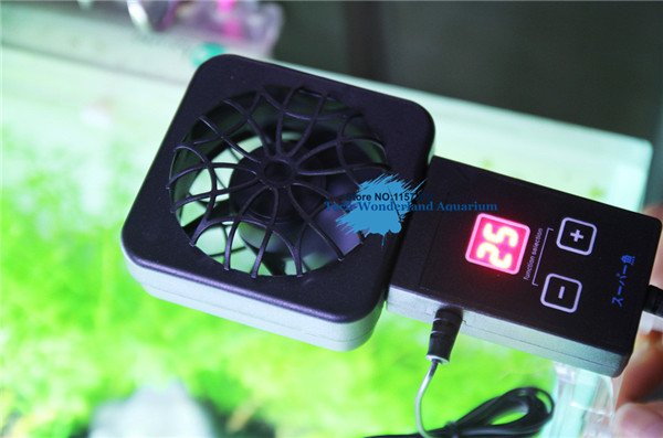Mini capteur de ventilateur de - Planted Aquarium Mini avis et prix