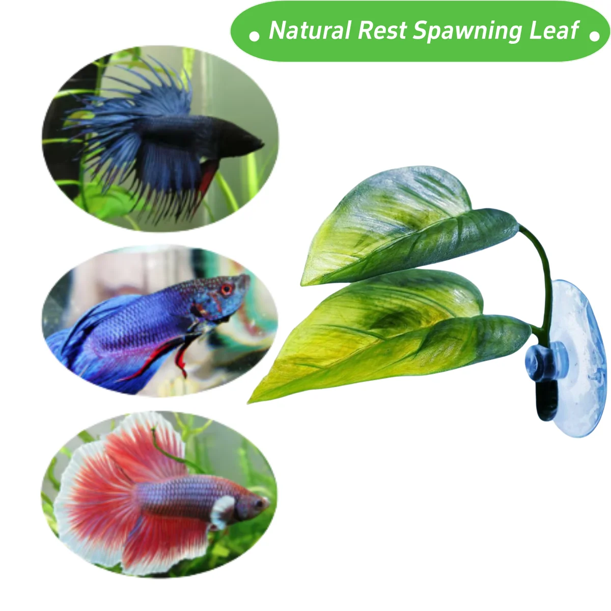Décor d'aquarium pour animaux  - Aquarium Plant Roots avis et prix