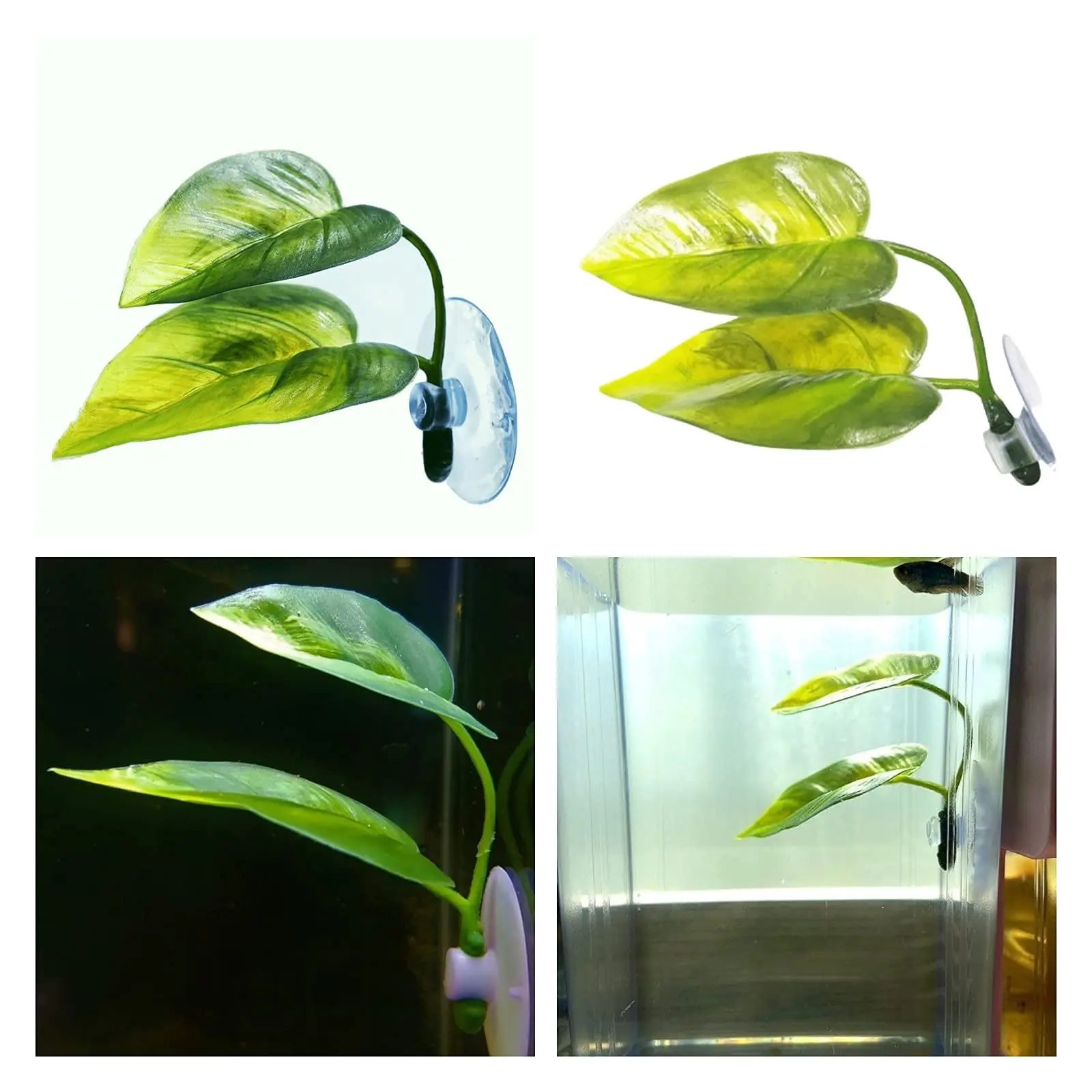 Décor d'aquarium pour animaux  - Aquarium Plant Roots avis et prix