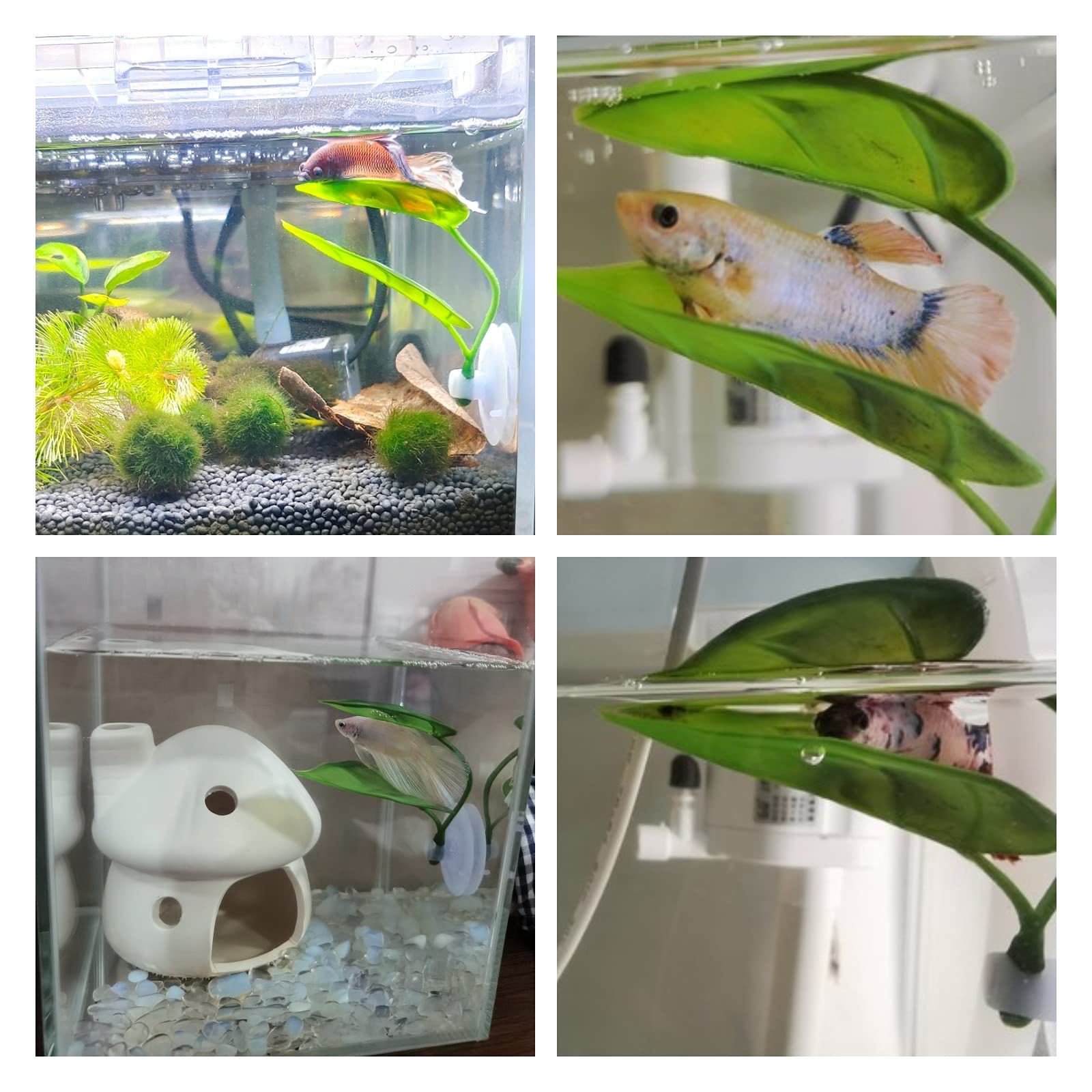 Décor d'aquarium pour animaux  - Aquarium Plant Roots avis et prix