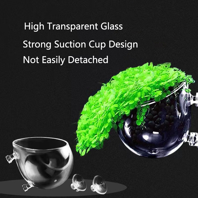 Mini pot en cristal en verre p - Planted Aquarium Mini avis et prix