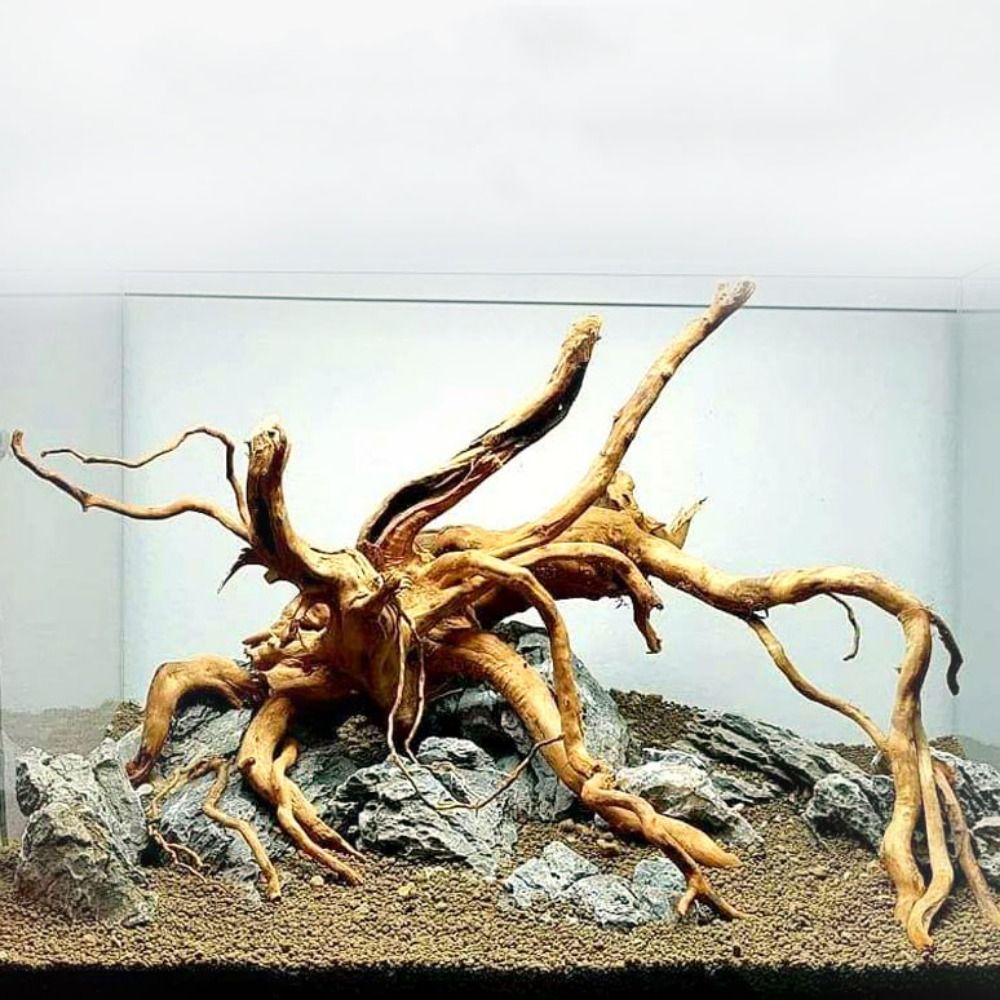 Bois flotté naturel de 20-25 c - Aquarium Plant Roots avis et prix