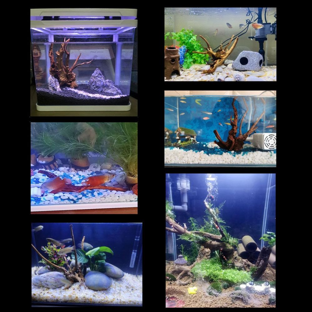 Bois flotté naturel de 20-25 c - Aquarium Plant Roots avis et prix