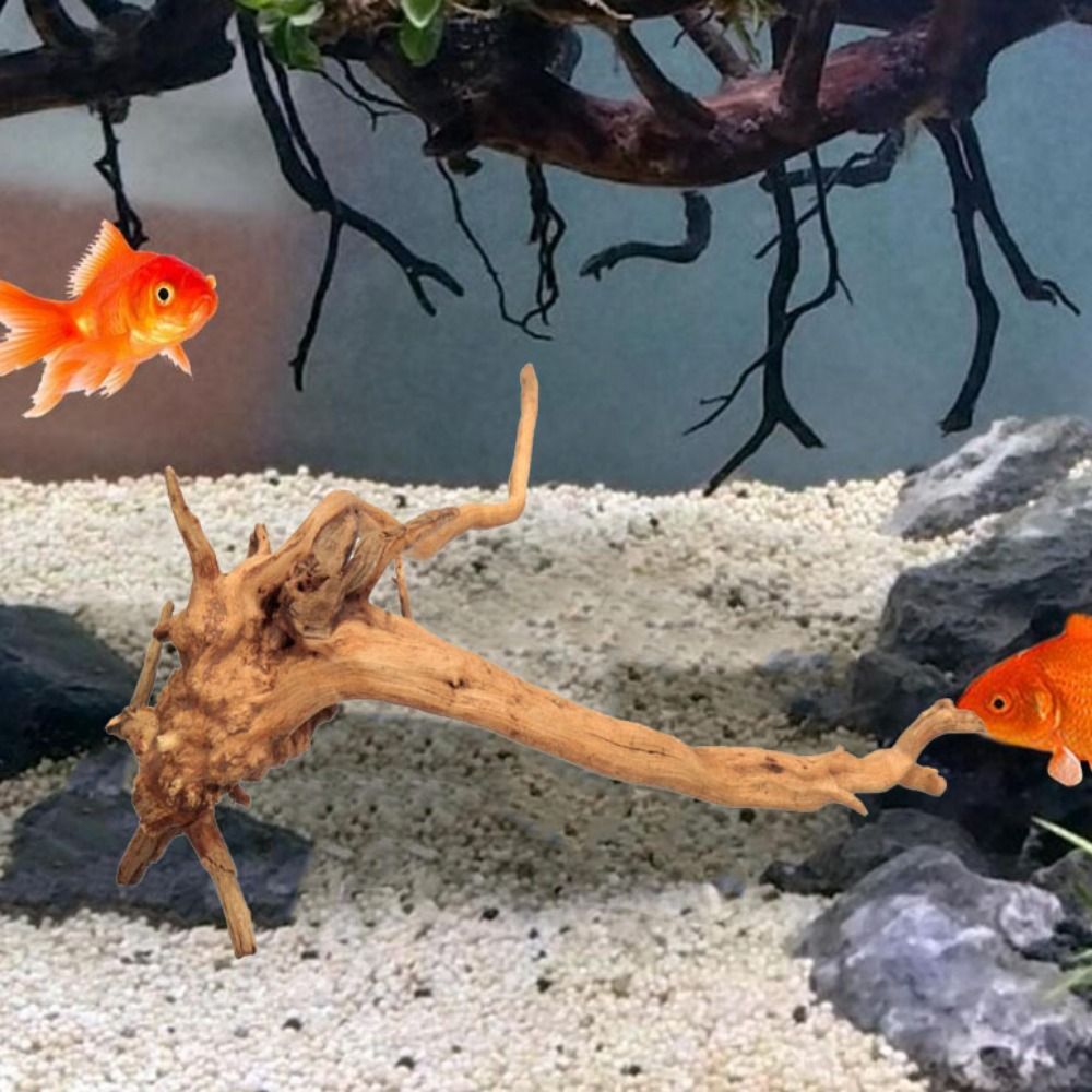 Bois flotté naturel de 20-25 c - Aquarium Plant Roots avis et prix