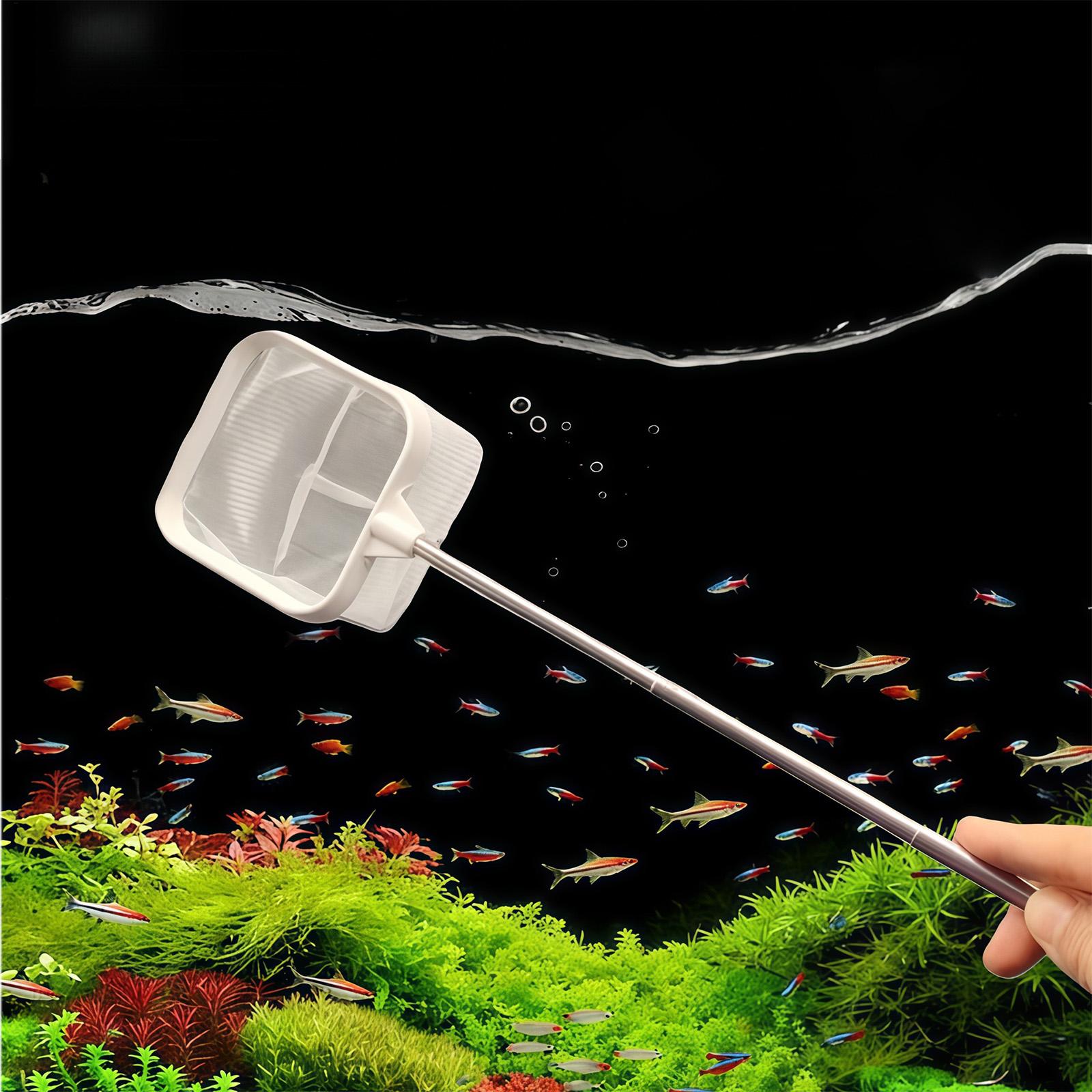 Épuisette à long manche extens - Aquarium Plant Roots avis et prix