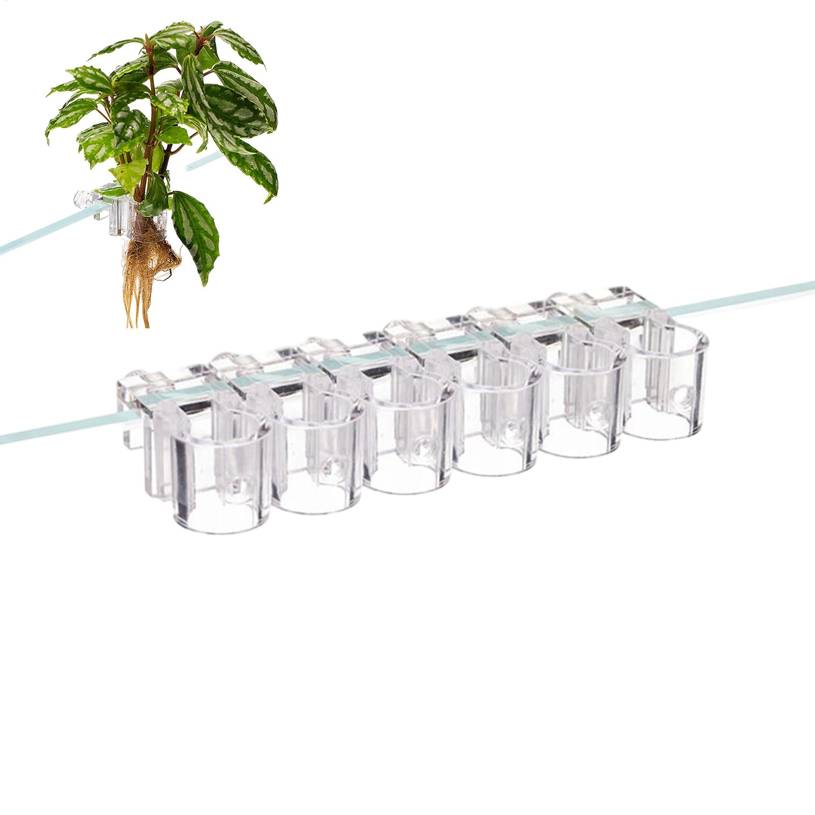 Mini pot de culture pour aquar - Planted Aquarium Mini avis et prix