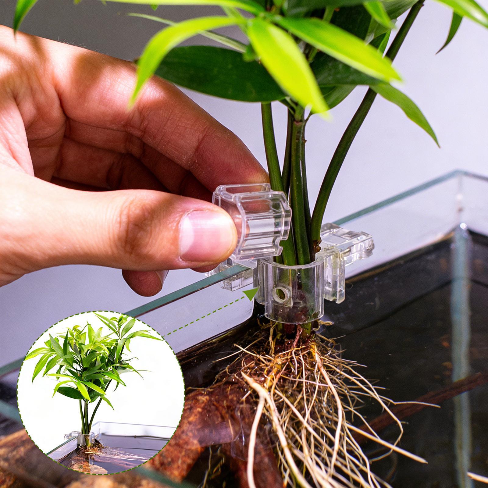 Mini pot de culture pour aquar - Planted Aquarium Mini avis et prix