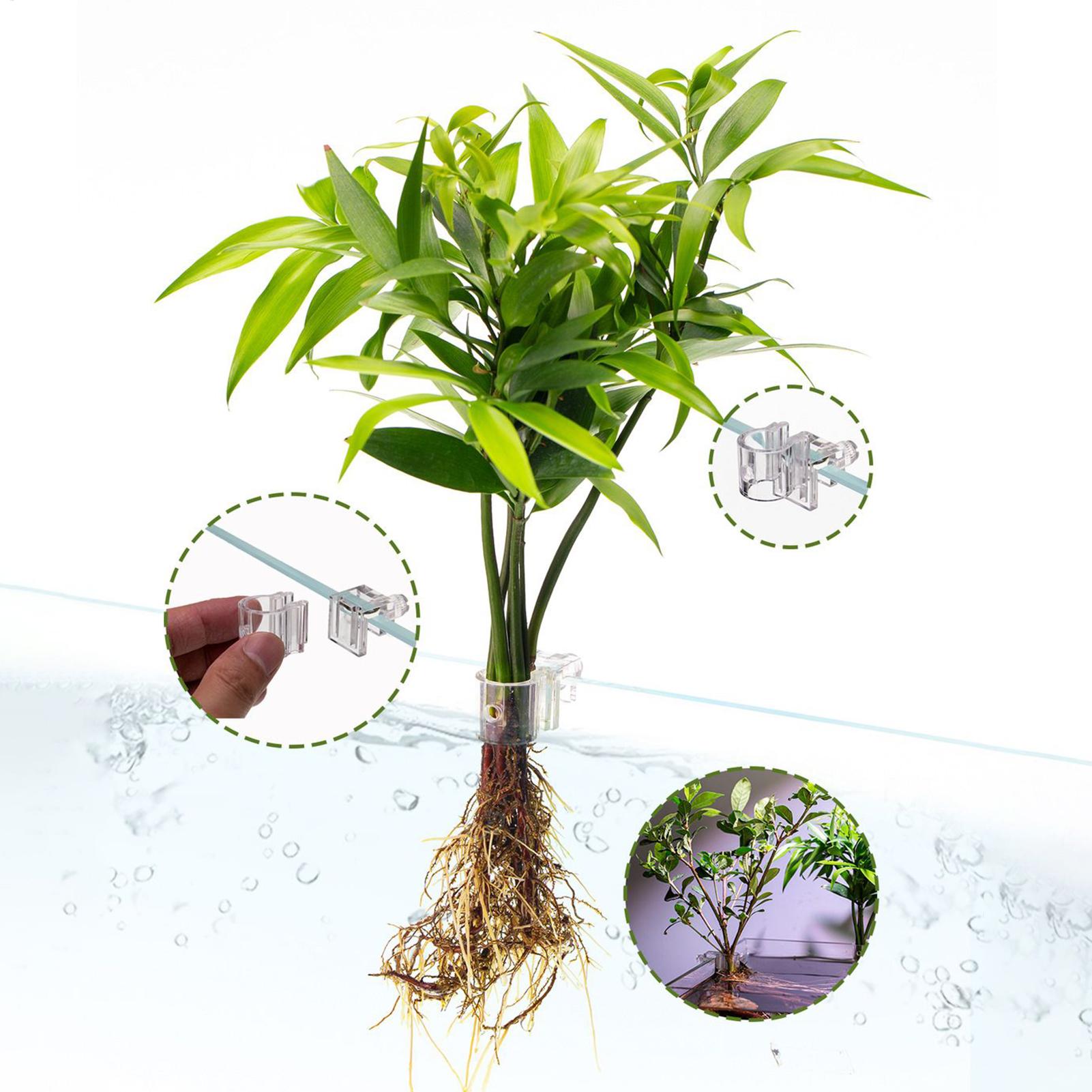 Mini pot de culture pour aquar - Planted Aquarium Mini avis et prix