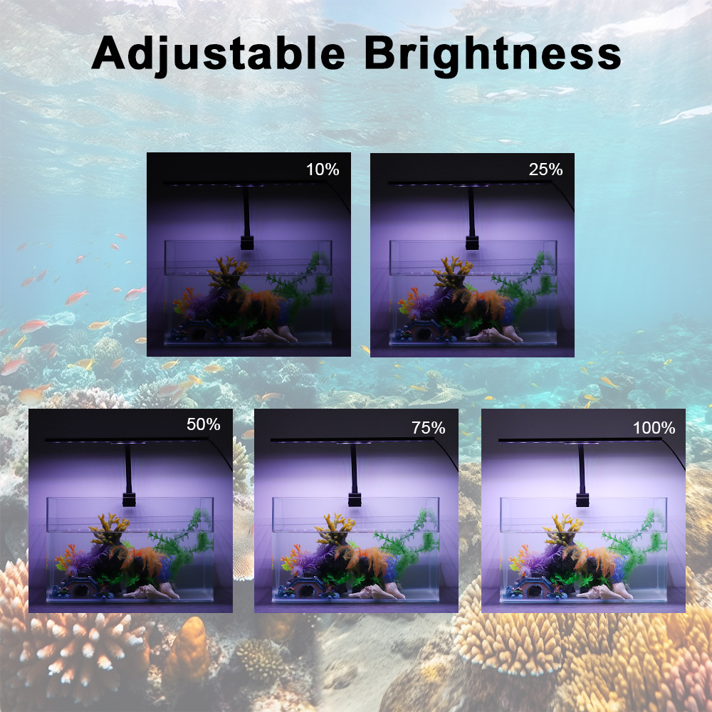 Lumière LED pour aquarium 24/7 - Planted Aquarium Cycling avis et prix