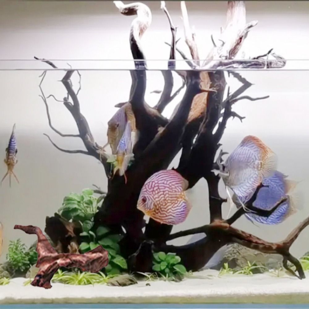 Tronc de bois flotté naturel e - Aquarium Plant Roots avis et prix
