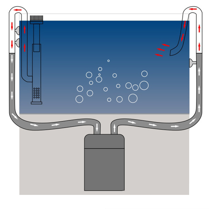 Tuyau de lys en acier inoxydab - Aquarium Planted Filter avis et prix