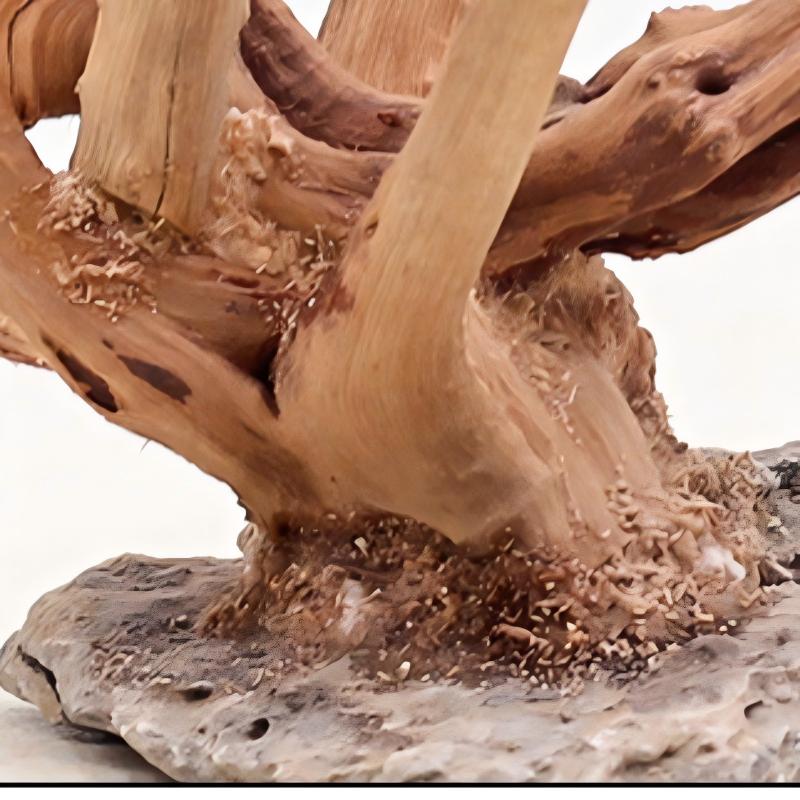 Ornements en bois pour aménage - Aquarium Plant Roots avis et prix