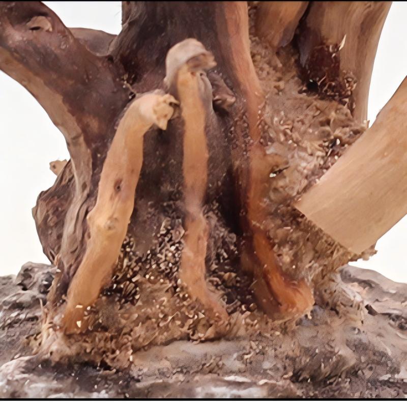 Ornements en bois pour aménage - Aquarium Plant Roots avis et prix